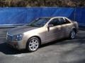 Radiant Bronze - CTS Sedan Photo No. 1