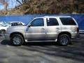 Quicksilver - Escalade AWD Photo No. 2