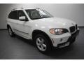 Alpine White - X5 3.0si Photo No. 1