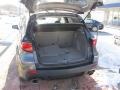 Taupe Trunk Photo for 2011 Acura RDX #59035540