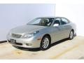 Millennium Silver Metallic - ES 300 Photo No. 15
