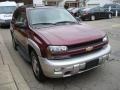 2005 Majestic Red Metallic Chevrolet TrailBlazer LT 4x4  photo #5