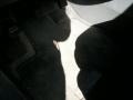 Nighthawk Black Pearl - Pilot EX-L Photo No. 20