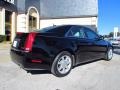 Black Raven - CTS Sedan Photo No. 3