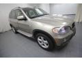 Platinum Bronze Metallic - X5 xDrive30i Photo No. 1