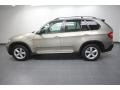 Platinum Bronze Metallic - X5 xDrive30i Photo No. 2