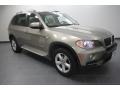 Platinum Bronze Metallic - X5 xDrive30i Photo No. 3