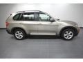 Platinum Bronze Metallic - X5 xDrive30i Photo No. 6