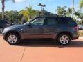 2012 Platinum Gray Metallic BMW X5 xDrive35d  photo #3