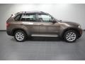 Sparkling Bronze Metallic - X5 xDrive 35i Photo No. 11