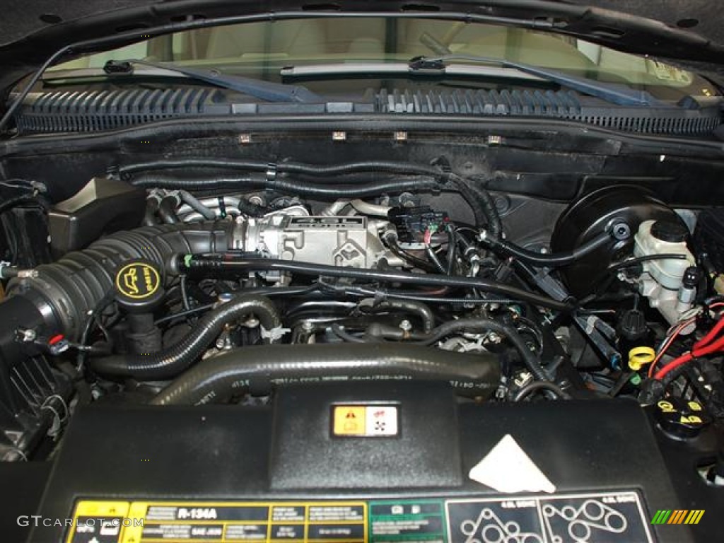 2004 Ford Explorer Eddie Bauer 4.6 Liter SOHC 16-Valve V8 Engine Photo #59078984