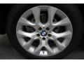 Platinum Gray Metallic - X5 xDrive 35i Photo No. 10
