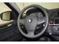 Platinum Gray Metallic - X5 xDrive 35i Photo No. 38