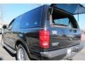 2001 Black Clearcoat Ford Expedition XLT  photo #9