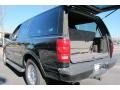 2001 Black Clearcoat Ford Expedition XLT  photo #10