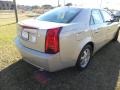 Gold Mist - CTS Sedan Photo No. 14