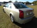 Gold Mist - CTS Sedan Photo No. 16