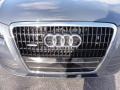 2009 Meteor Gray Pearl Effect Audi Q5 3.2 Premium quattro  photo #30