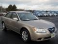 Camel Pearl - Sonata GLS Photo No. 20