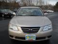 Camel Pearl - Sonata GLS Photo No. 21