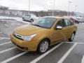 2009 Amber Gold Metallic Ford Focus SEL Sedan  photo #6