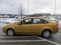 2009 Amber Gold Metallic Ford Focus SEL Sedan  photo #7