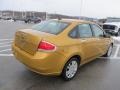 2009 Amber Gold Metallic Ford Focus SEL Sedan  photo #10