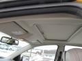 2009 Amber Gold Metallic Ford Focus SEL Sedan  photo #15