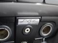 2009 Amber Gold Metallic Ford Focus SEL Sedan  photo #18