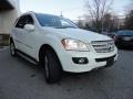 Arctic White - ML 350 4Matic Photo No. 3