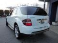 Arctic White - ML 350 4Matic Photo No. 12
