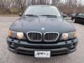 2003 Oxford Green Metallic BMW X5 4.4i  photo #3