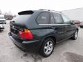 2003 Oxford Green Metallic BMW X5 4.4i  photo #8