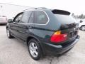 2003 Oxford Green Metallic BMW X5 4.4i  photo #10