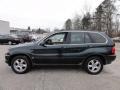 2003 Oxford Green Metallic BMW X5 4.4i  photo #11