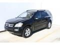 Obsidian Black Metallic - GL 450 Photo No. 15