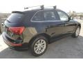 2009 Brilliant Black Audi Q5 3.2 Premium quattro  photo #7
