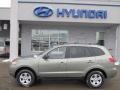 2009 Natural Khaki Hyundai Santa Fe GLS 4WD  photo #3