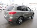 2009 Natural Khaki Hyundai Santa Fe GLS 4WD  photo #6