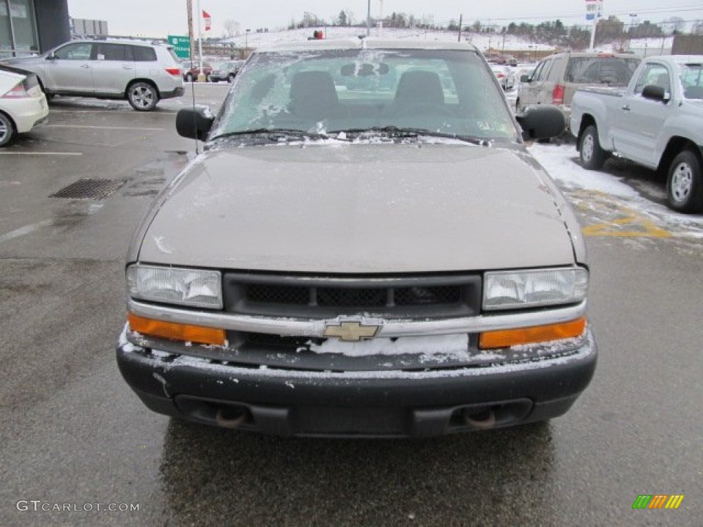 2002 S10 Extended Cab 4x4 - Light Pewter Metallic / Medium Gray photo #9