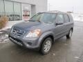 Pewter Pearl - CR-V Special Edition 4WD Photo No. 2