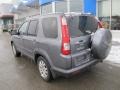 Pewter Pearl - CR-V Special Edition 4WD Photo No. 4