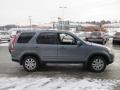 Pewter Pearl - CR-V Special Edition 4WD Photo No. 7