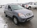 Pewter Pearl - CR-V Special Edition 4WD Photo No. 8