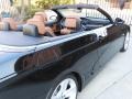 2009 Jet Black BMW 3 Series 335i Convertible  photo #22