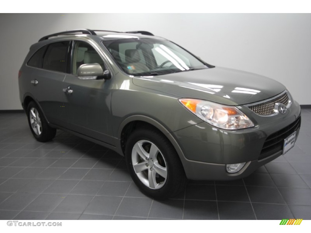 2008 Natural Khaki Metallic Hyundai Veracruz Limited 59117318 Photo 6