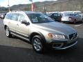 Seashell Metallic - XC70 3.2 AWD Photo No. 4