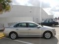 Tungsten Silver Metallic - Passat 2.5L S Photo No. 8
