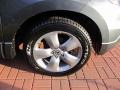 Carbon Bronze Pearl - RDX Technology Photo No. 11