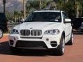 Alpine White - X5 xDrive35d Photo No. 1